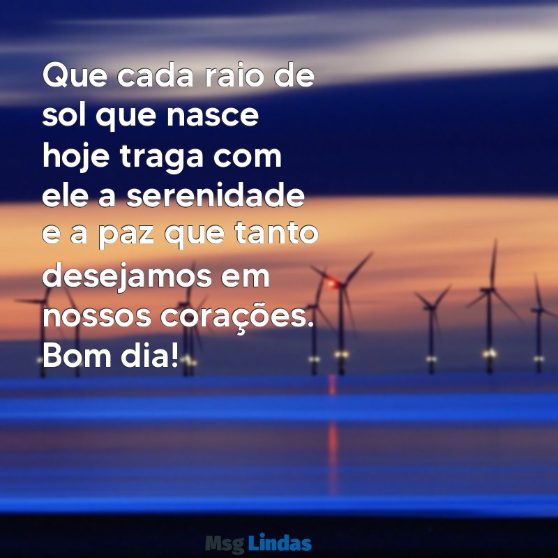 bom dia na paz Que cada raio de sol que nasce hoje traga com ele a serenidade e a paz que tanto desejamos em nossos corações. Bom dia!