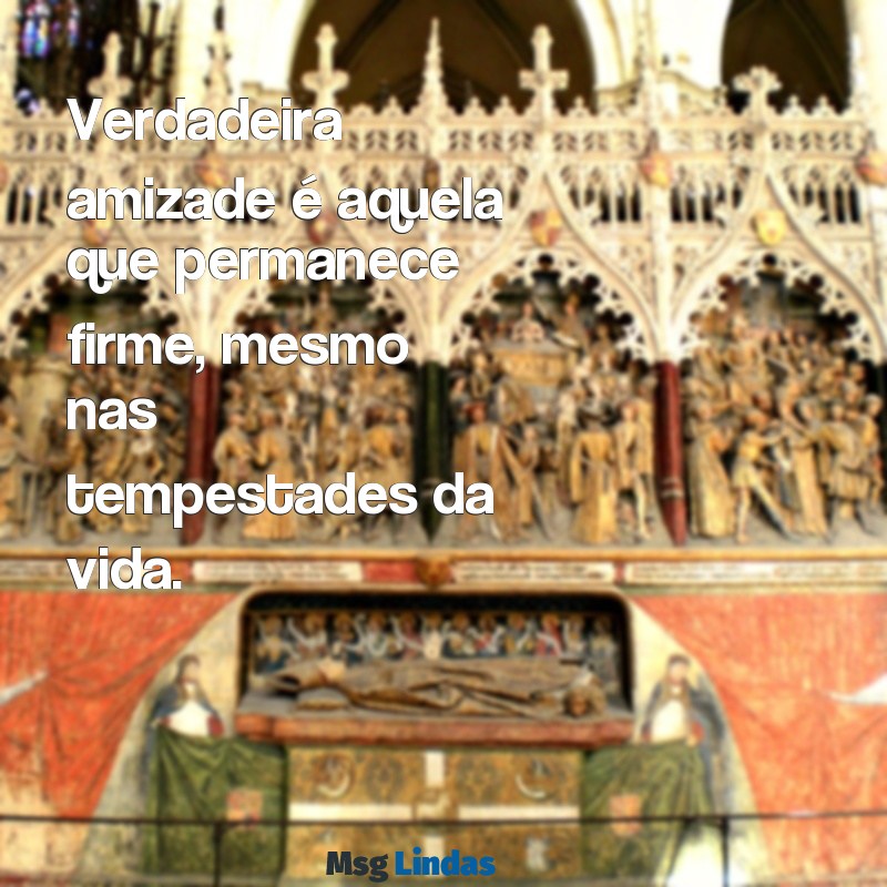 verdadeira amizade Verdadeira amizade é aquela que permanece firme, mesmo nas tempestades da vida.