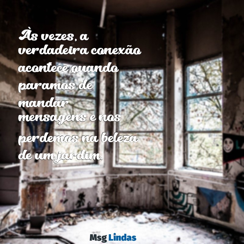 pare de mandar mensagens e veja quantas plantas Às vezes, a verdadeira conexão acontece quando paramos de mandar mensagens e nos perdemos na beleza de um jardim.