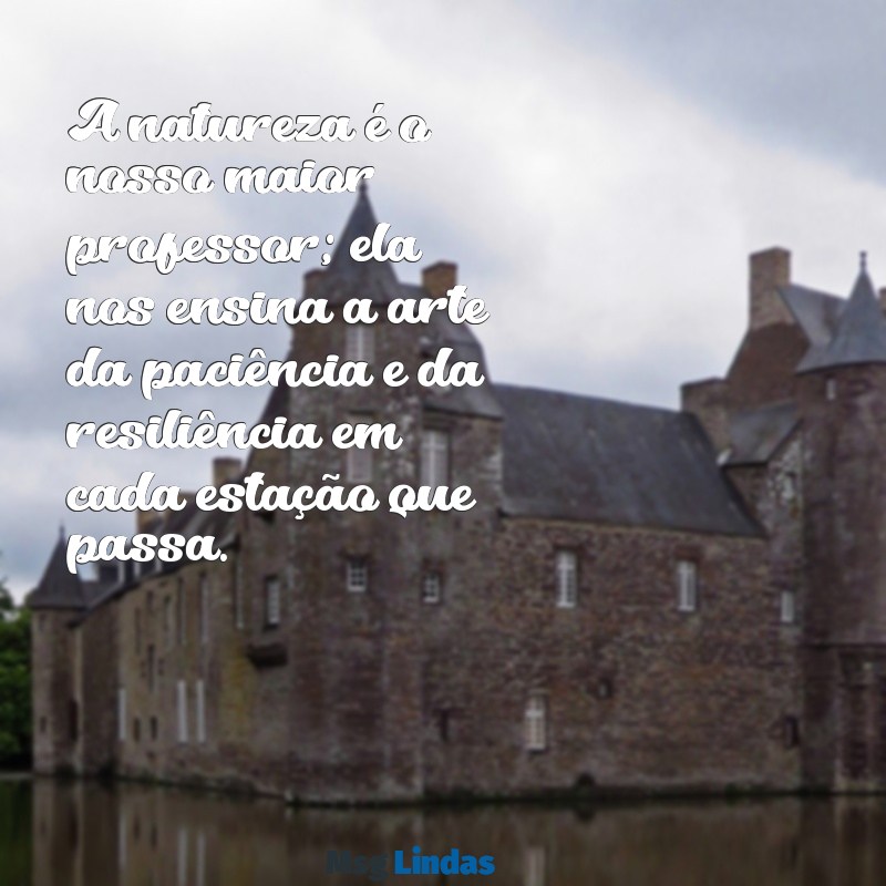 mensagens sobre natureza A natureza é o nosso maior professor; ela nos ensina a arte da paciência e da resiliência em cada estação que passa.