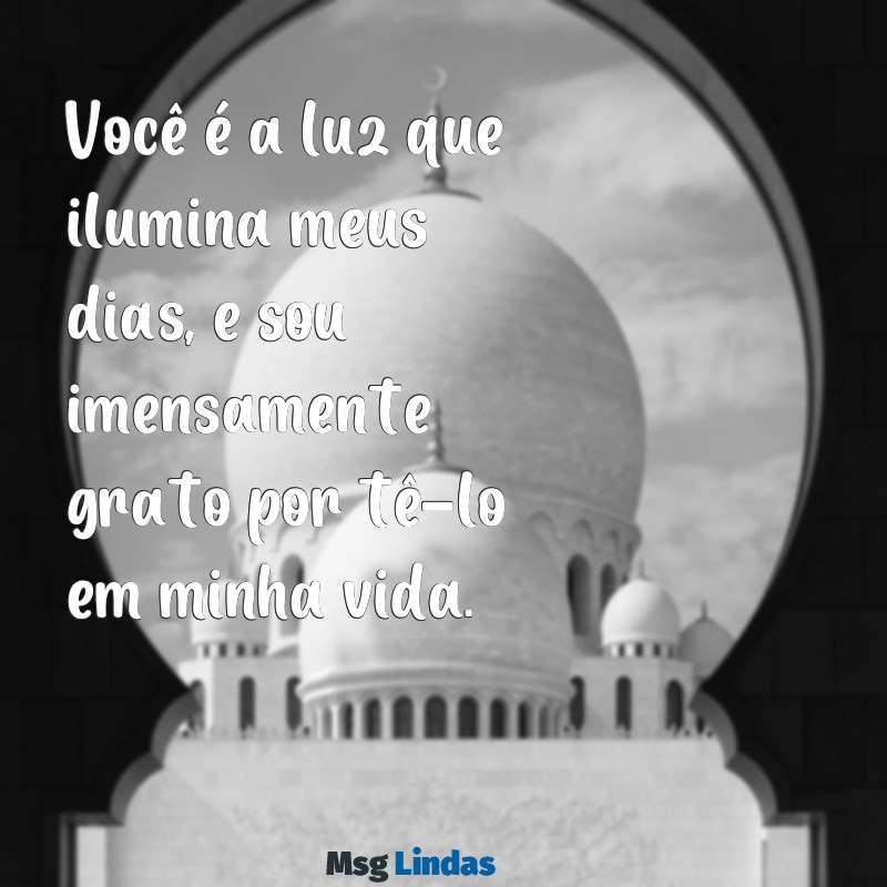 mensagens para pessoas importantes Você é a luz que ilumina meus dias, e sou imensamente grato por tê-lo em minha vida.