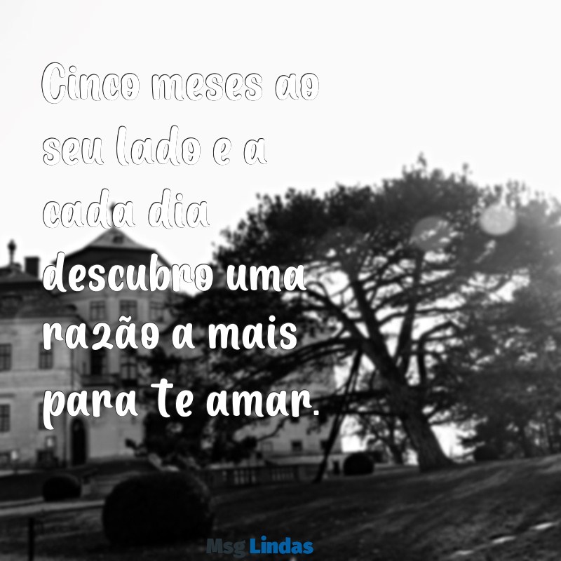 textos de 5 meses de namoro instagram Cinco meses ao seu lado e a cada dia descubro uma razão a mais para te amar.