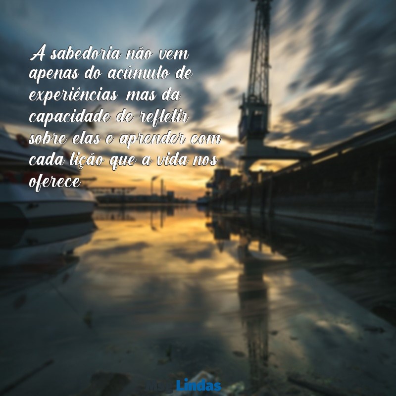 sabedoria reflexão lição de vida A sabedoria não vem apenas do acúmulo de experiências, mas da capacidade de refletir sobre elas e aprender com cada lição que a vida nos oferece.